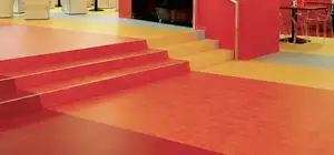 Linoleum Flooring